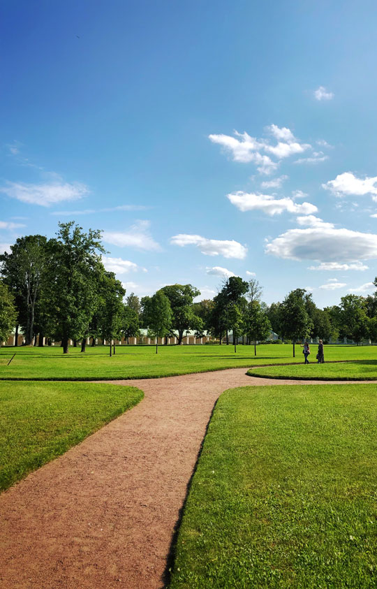 Lawns & Turf Maintenance Lawns & Turf Maintenance