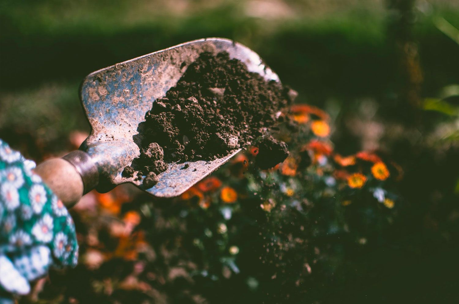 Planting Services Planting Services