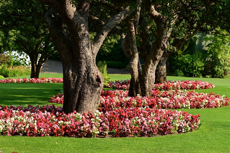 Beautifully landscaped garden with colorful flowers and trees.