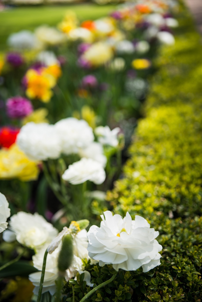 flower garden installs and planting