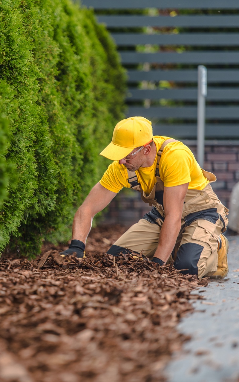Installation of Bark Chips