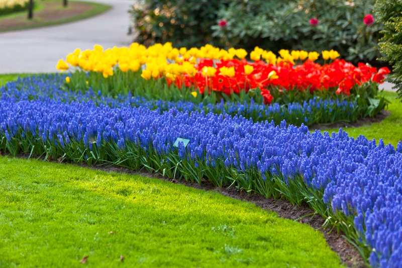 Bright flowerbed flower bed
